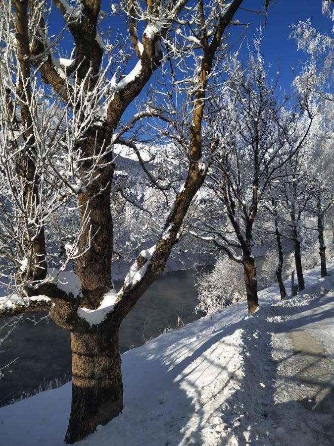 Alpenblick Apartment Gastein - Inklusive Eintritt Alpentherme 巴特霍夫加施泰因 外观 照片